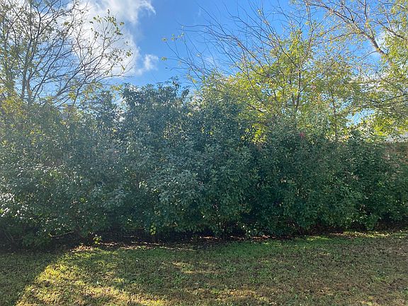 3rd image of 8141 Keechi Creek Ct