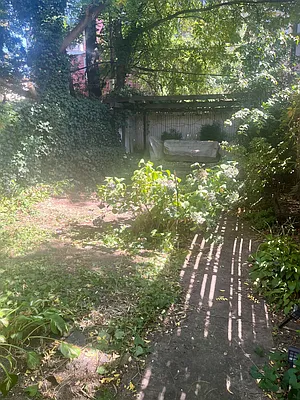 Rented by Alexander Bilu, LREB | media 18