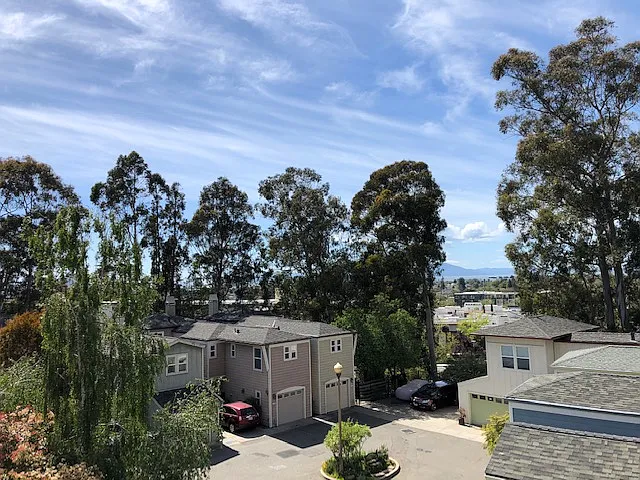 1 bed, 650 sqft, $2,200 — Photo 3