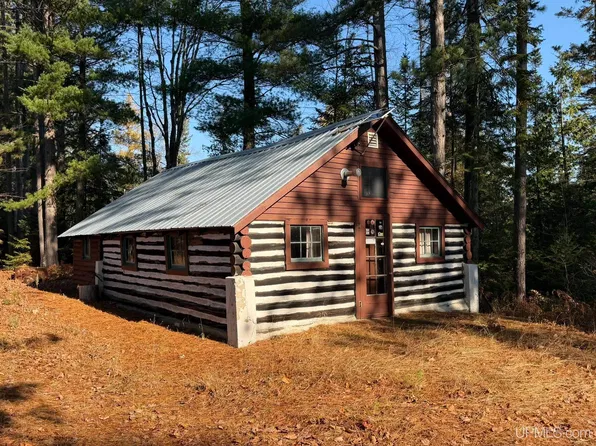 Tbd River Rd, Manistique, MI 49854