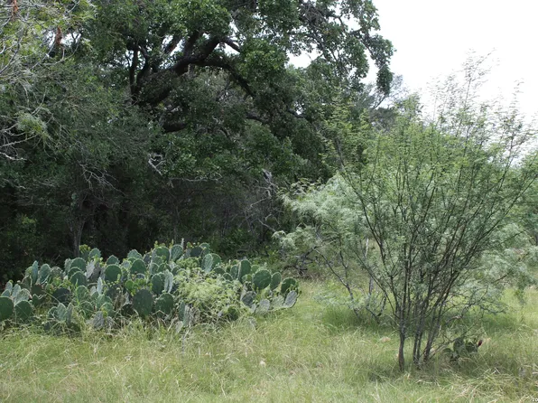 TBD FM 3353, Seguin, TX 78155
