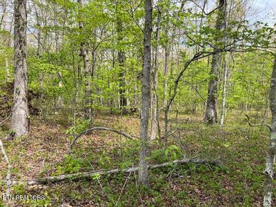 8921 Cherokee Trl, Crossville, TN, 38572