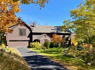 592 Antone Mountain View Rd, Pawlet, VT 05761