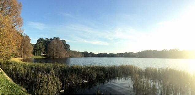 Lake Cherokee views
