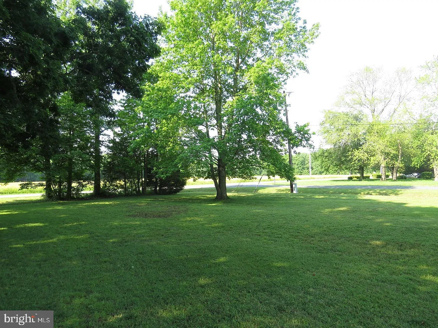 2 bed, 1.0 bath, 864 sqft, $2,400 — Photo 2
