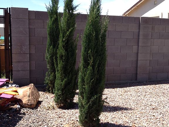 3rd image of 2913 E Javelina Ave