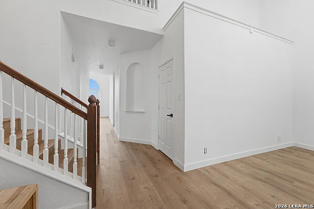 2429 Angelina Dr — Photo 4