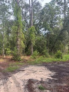 NE 72nd Pl, Bronson, FL, 32621