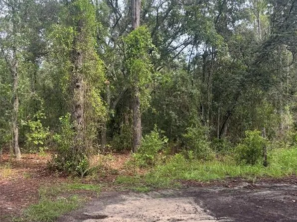 NE 72nd Pl, Bronson, FL 32621