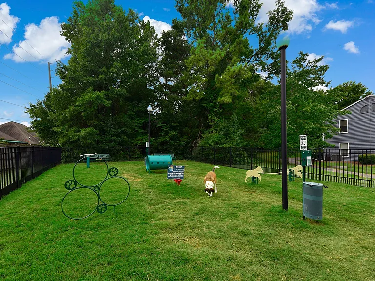 Leash Free Bark Park + Obstacle Course