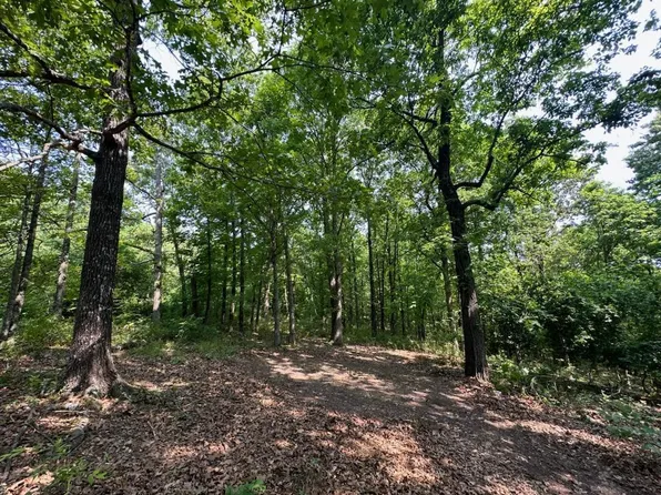 850 County Road 255, Thayer, MO 65791