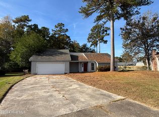 115 Honey Tree Ct, Midway Park, NC 28544