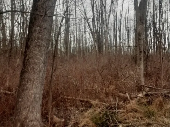 (undisclosed Address), Canastota, NY 13032