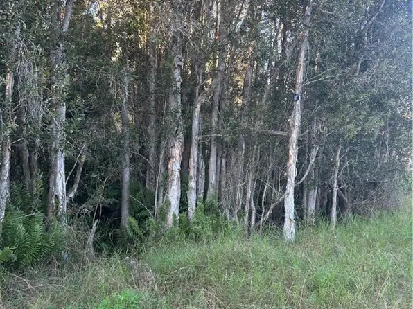 33608 Oil Well Rd, Punta Gorda, FL 33955