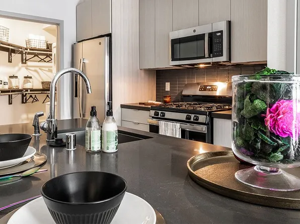 Elysian at the Palms