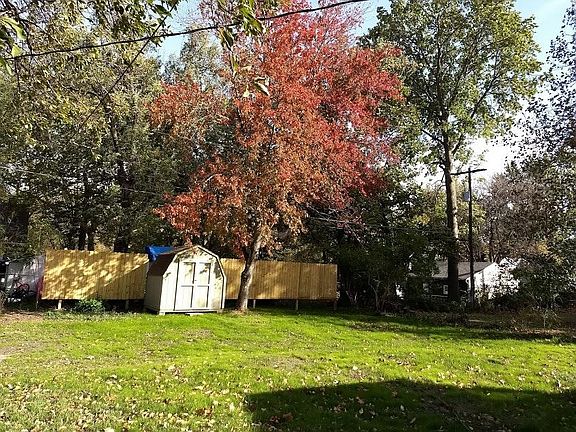 Storage shed, maple Tree
