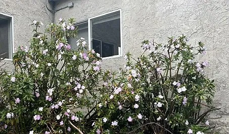 9 Marea Ave — Photo 15