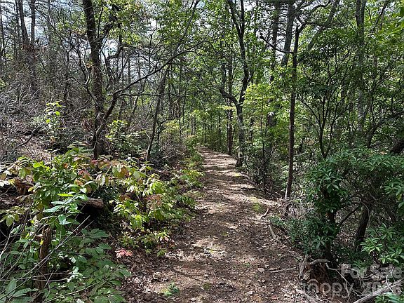 4th image of 0 Hildebran Mountain Ave