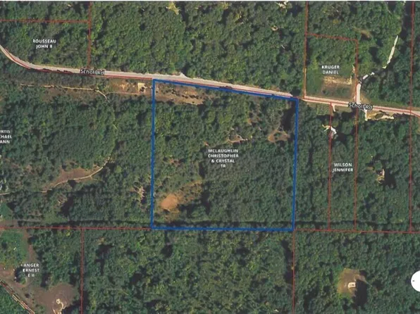 0 Scholl Rd, Mancelona, MI 49659