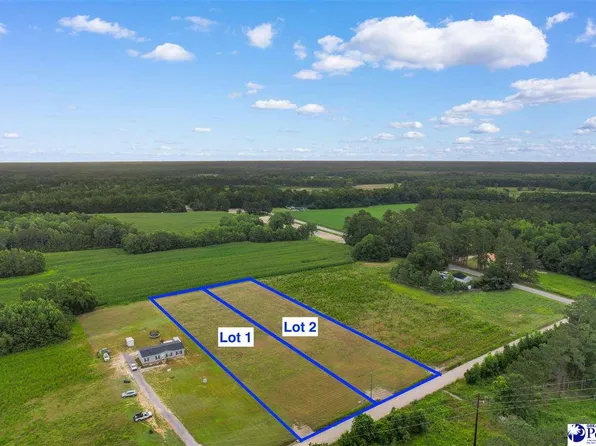 LOT Pleasant View Church Rd #B, Nichols, SC 29581