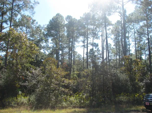 Orange Peel St, Marianna, FL 32448