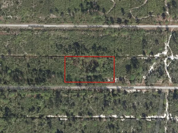 720 Parrot Avenue, Sebring, FL 33872