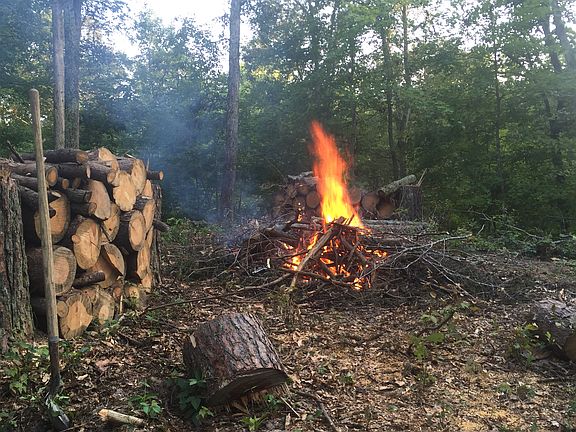 Area cleared for a cabin