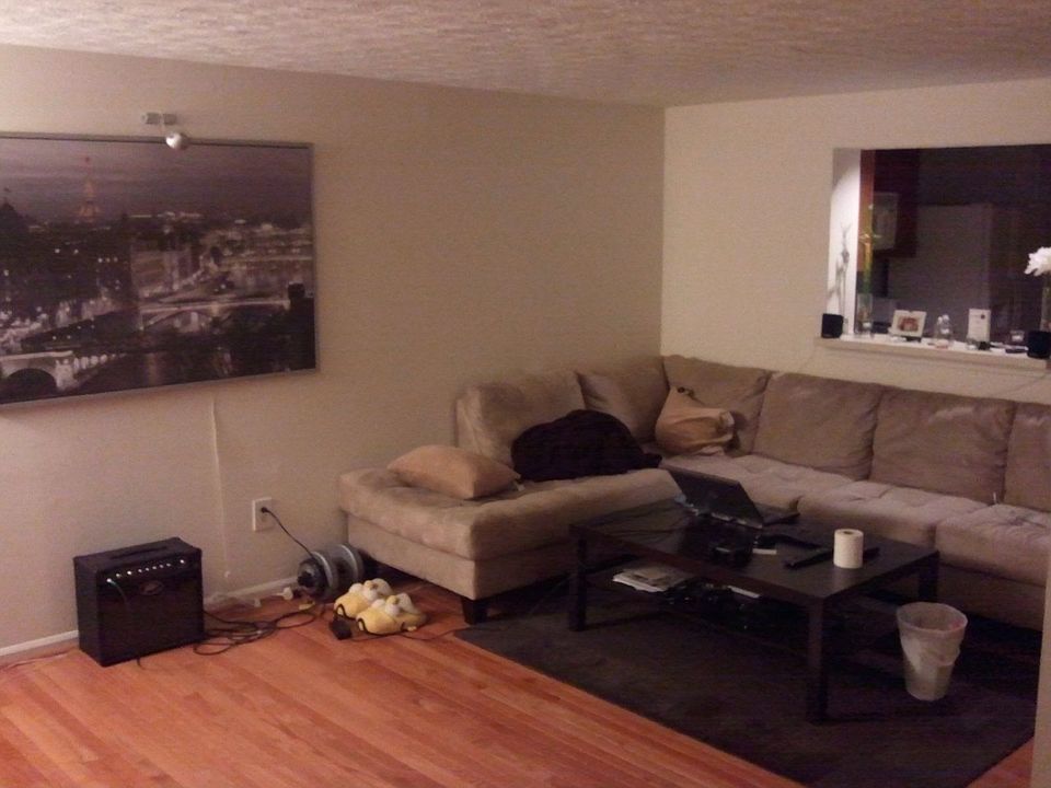 Living room with new hardwood floors