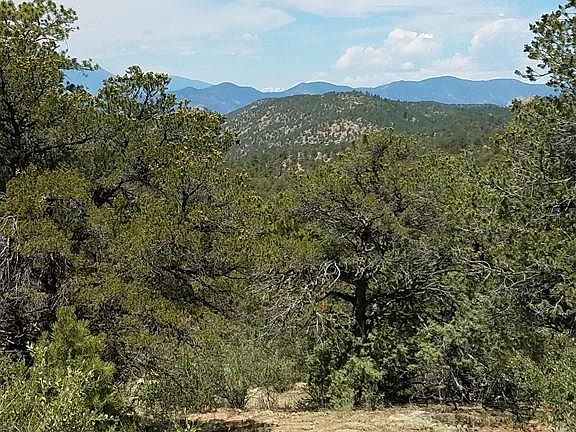 5th image of 1981 Texas Creek Ln