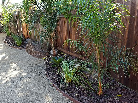 Back Yard 2