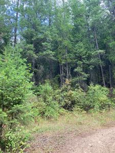 1752C Duncan Rd, Chewelah, WA, 99109