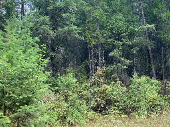 1752C Duncan Rd, Chewelah, WA 99109