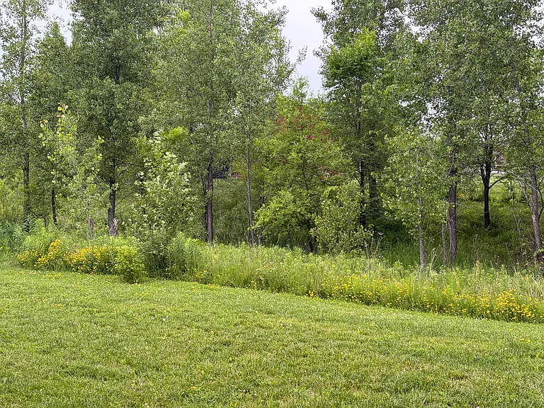 5234 Christopher Dr — Photo 4