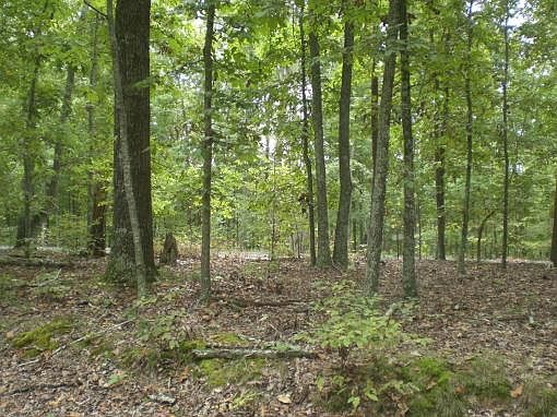 5th image of 313 Chelaque Way Lot 121