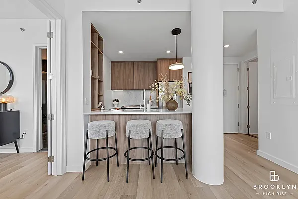 Rented by Brooklyn High Rise LLC | media 6