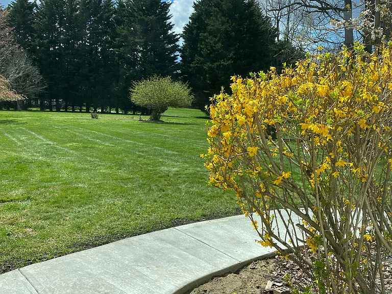 Patio View -1