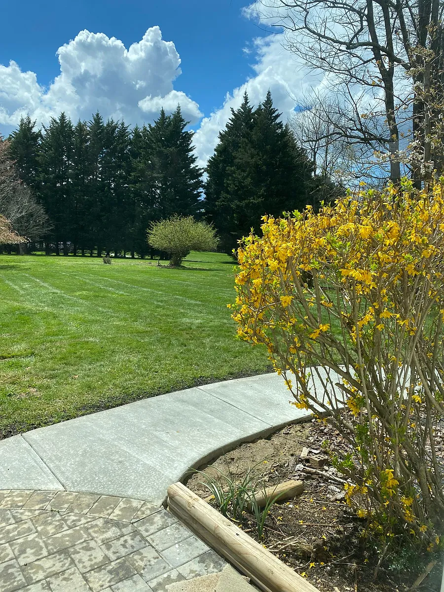 Patio View -1 - 17315B Avenleigh Dr