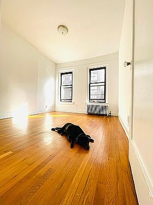 5th image of 337 E 88th St APT 5A