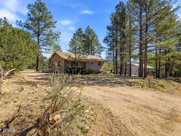 1924 Little Doe Trl, Overgaard, AZ 85928