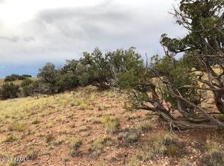 5388 County Line Rd, Snowflake, AZ 85937