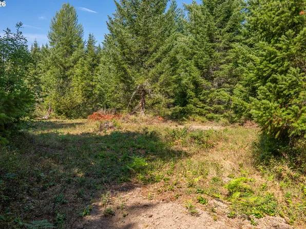 Hawk Meadows Rd #2, Carson, WA 98610