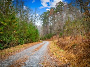 Bullen Gap Rd, Blue Ridge, GA 30513