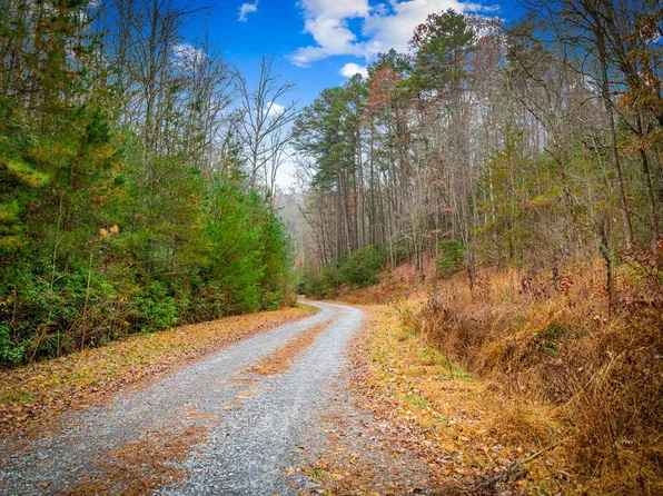 Bullen Gap Rd, Blue Ridge, GA 30513