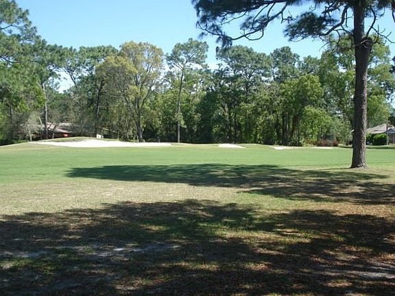 great views from the backyard