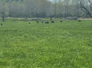 424 Richardson Rd, Jasper, AL 35504