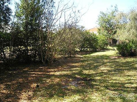 Backyard 2nd View