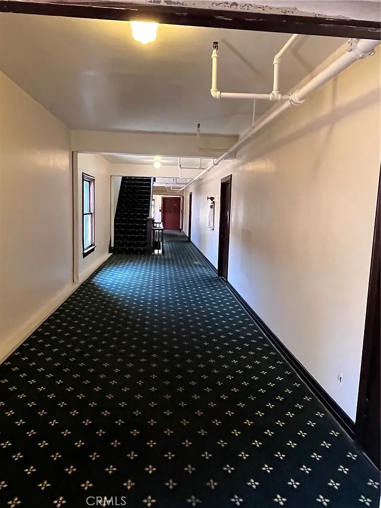Studio, 380 sqft, $1,395 — Photo 4