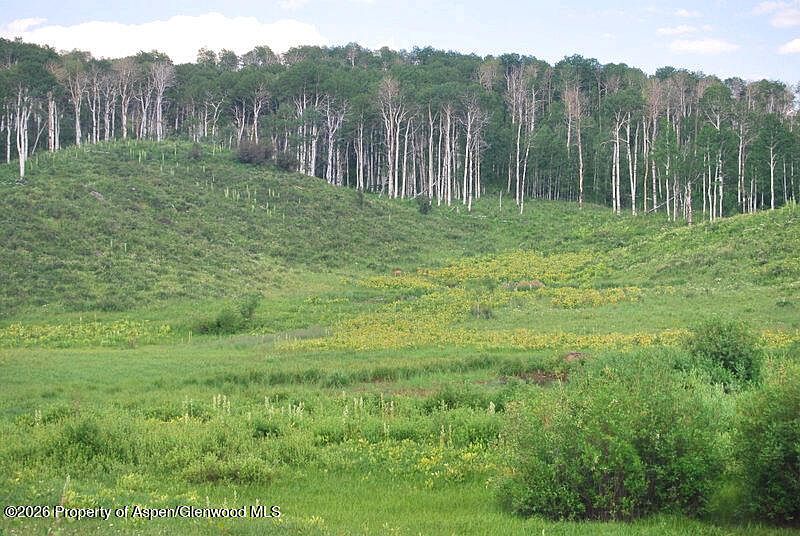 1st image of Tbd County Road 11