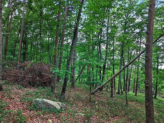 4th image of 0 Ridgeside Ct #293