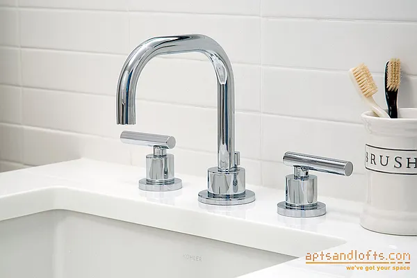 Rented by aptsandlofts.com | media 62